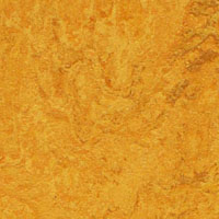 Линолеум натуральный Forbo Marmoleum Real 3125 Golden Sunset (желтый) 2x32 м